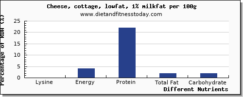 chart to show highest lysine in cottage cheese per 100g